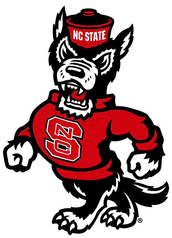 1999 NC State Football Helmet