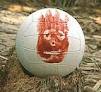 Wilson Watch