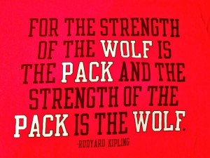 For the strength of the wolf is in the Pack